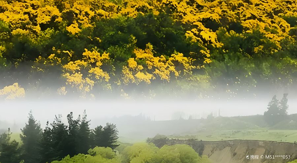 太平洋海岸观光火车