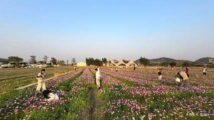 五彩田园朝阳里营地第 1 张图片