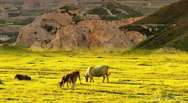 蒋福山红叶谷营地