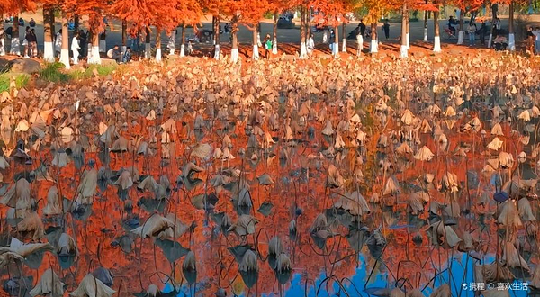 湘湖国家旅游度假区-云洲敛翠