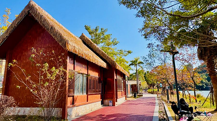 泗华郊野公园第 1 张图片