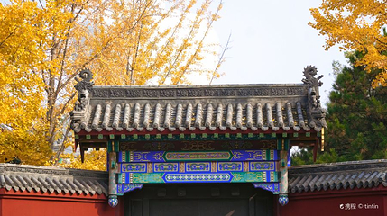 东塔园-护国永光寺第 1 张图片