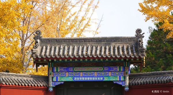 东塔园-护国永光寺