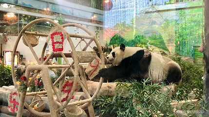 灵玲国际马戏城-熊猫馆第 1 张图片