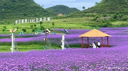 高坡石门花海第 1 张图片