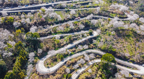 四明大桥观景台