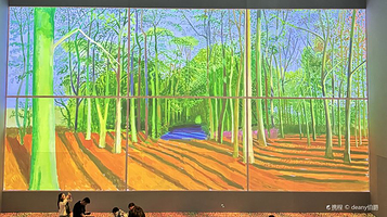 大卫霍克尼《更大，更近》沉浸式艺术展