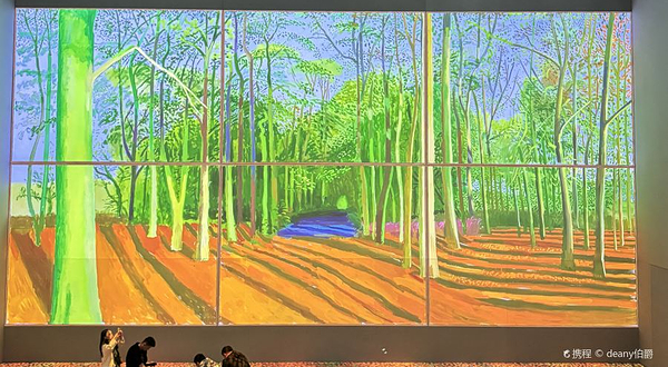 大卫霍克尼《更大，更近》沉浸式艺术展