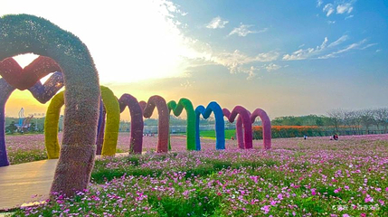 北部湾花卉公园第 1 张图片