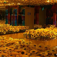 保定梵高星空艺术馆旗舰店