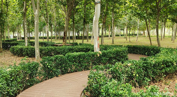 大运河湾公园绿道