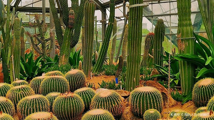 华南国家植物园-游览区第 1 张图片