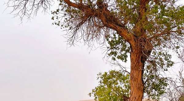 塔克拉玛干沙漠