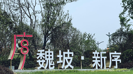 魏坡新序第 1 张图片