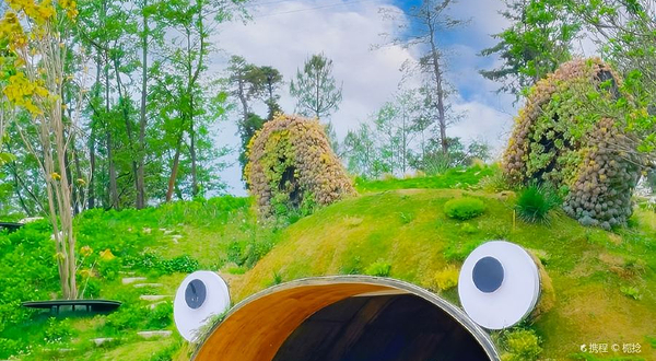 木石多肉·云朵花园