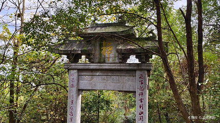 宜春禅博园景区第 1 张图片