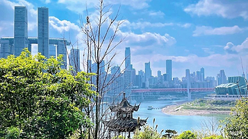 呼归石花阶公园