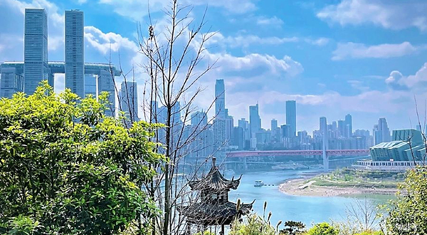 呼归石花阶公园