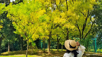 江西南昌红谷滩区