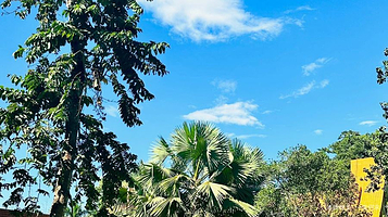中国科学院西双版纳热带植物园-木兰厅