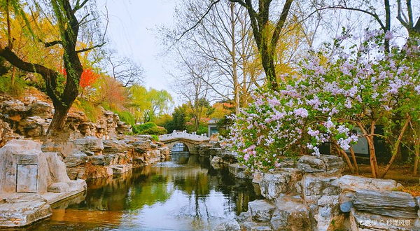 什刹海西海湿地公园