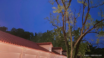 南湖南艺术家夏宫