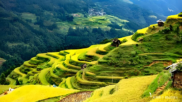 加榜梯田-云上梯田
