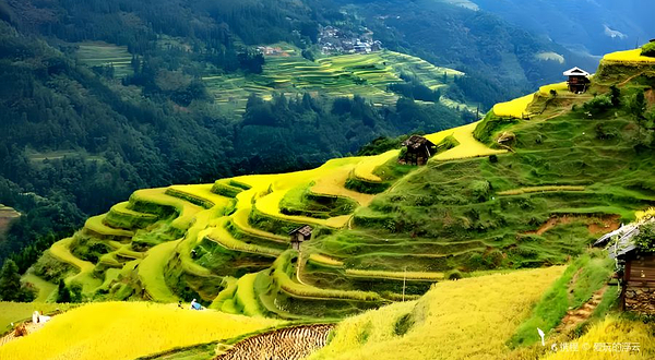 加榜梯田-云上梯田