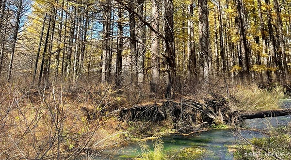 白狼镇鹿村旅游区