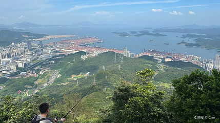 大梧桐广场第 1 张图片