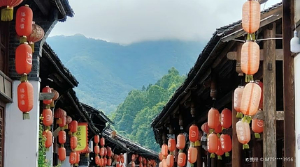 骆家坝景区第 1 张图片