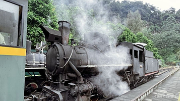 嘉阳小火车跃进站