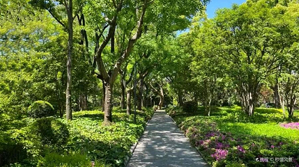 辅德里公园第 1 张图片