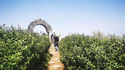 高阳山第 1 张图片
