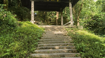 景山植物园第 1 张图片