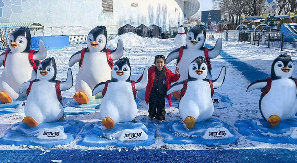 哈尔滨极地公园·淘学企鹅馆