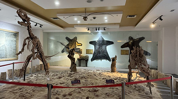 浙江东方博物馆