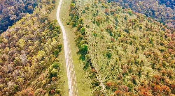 富县秦直道遗址