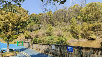 照母山森林公园-观鱼池