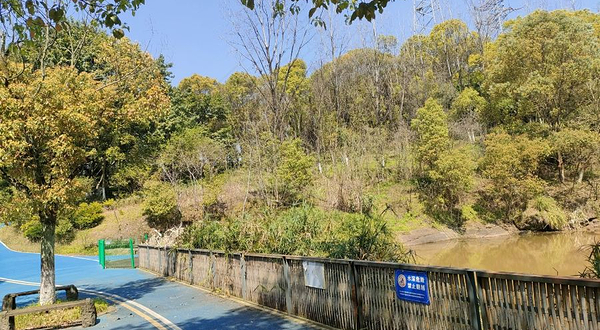 照母山森林公园-观鱼池