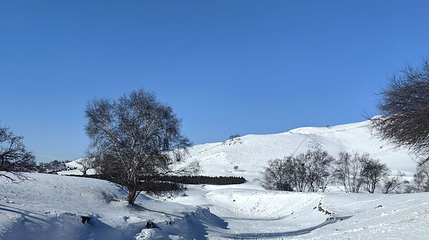 乌兰布统景区-塞北雪乡第 1 张图片