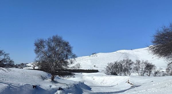 乌兰布统景区-塞北雪乡