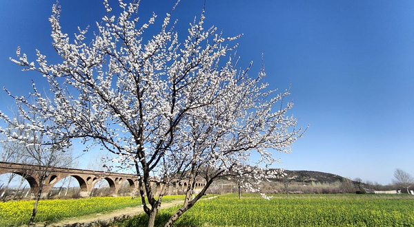 西山领地生态园