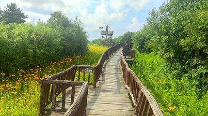 镇巴县草坝景区第 1 张图片