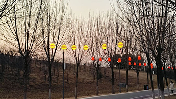 周口市永宁湖湿地公园