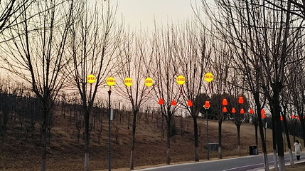 引黄调蓄湖湿地公园第 1 张图片