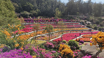 厦门园林植物园-花卉园
