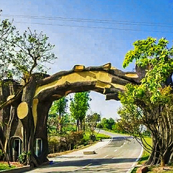 泸州植物园