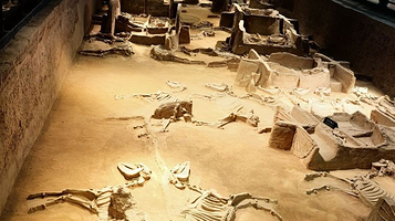 周王城天子驾六博物馆(分馆)