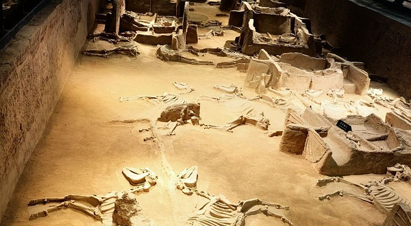 周王城天子驾六博物馆(分馆)